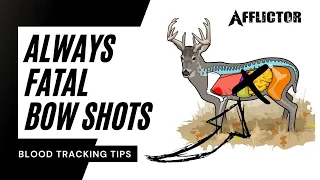 The Best Way to Handle a GUT SHOT DEER! Blood Tracking Tips!