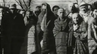 Inside Auschwitz: Holocaust's horrific impact