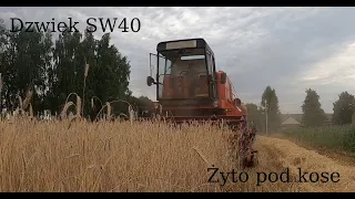 Ryk bizona Żniwa 2023 Żyto pod kose Bizon Zo56& Case 5140