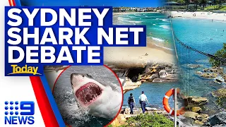 Push to remove shark nets from Australia's most famous beach | 9 News Australia