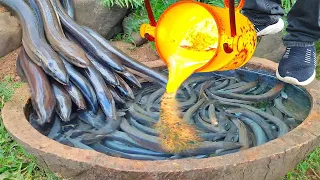 Electric Eel in Pool of LAVA