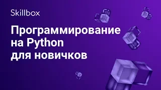 Как программировать на Python