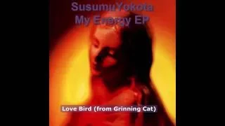 Susumu Yokota My Energy EP full(2015)