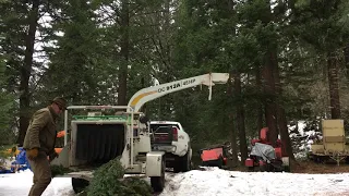 Altec 09 DC912A Chipper demo