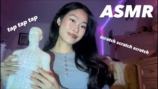 ASMR - Acupuncture Doll Tapping & Scratching Massage 💆🏻❤️ // ft. Ana Luisa