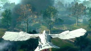 BATTLEFIELD 1 Pigeon Gameplay - Beautiful Moment Scene