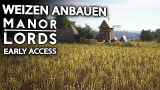 Manor Lords Weizen anbauen in Early Access Manor Lords Deutsch German Gameplay