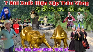 Ly kỳ Xuất Hiện Cặp Trâu Vàng Của Chư Thần và Cặp Rắn Hổ Mây khủng nhiều người kéo về tìm mong....