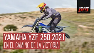 Prueba Yamaha YZF 250 2021: EN EL CAMINO DE LA VICTORIA