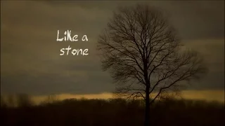 Audioslave - Like a stone LYRIC VIDEO