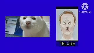 Thalasin Plus Portrayed By Cats