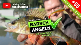 BARSCHANGELN im Herbst 🎣🔥👍🏼 (Crashkurs für Anfänger)