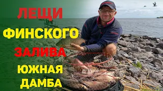 Рыбалка на Финском заливе. Ловля леща.