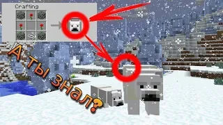 Что вы не знали о медведях в minecraft? | Полярные медведи | Секреты майнкрафта