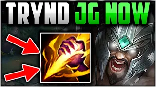 TRYNDAMERE JUNGLE IS SPICY NOW👌 (Best Build/Runes) | Tryndamere Jungle Beginners Guide Season 13