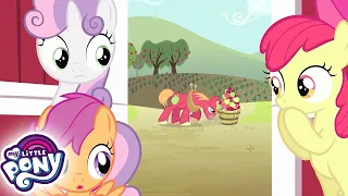 My Little Pony Polski 🦄  Dzień Serc i Podków | Przyjaźń to magia | Cały odcinek