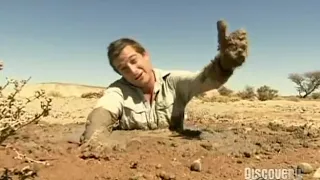Bear Grylls Sahara Quicksand  Learn To Live