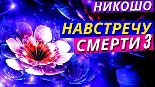 Как Правильно Умирать и Превратить Смерть в Духовную Практику.  Холичек «Навстречу Смерти» 3Ч