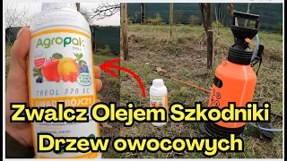 Bardzo Ważny Oprysk Olejem. Zabija szkodniki zimujące w roślinach. Najlepszy Oprysk Ekologiczny.