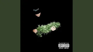Top Weed (feat. Plinofficial)