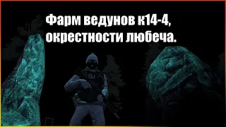 Фарм ведунов на К14-4 окрестности любеча  Stay out/Сталкер онлайн.