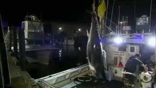 Wicked Tuna North vs South - Season Finale Sneak Peek - 30 sec