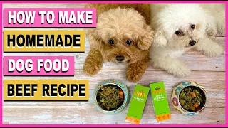 HOMEMADE DOG FOOD- DIY Beef Recipe| Vet Formulated| The Poodle Mom