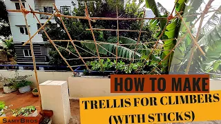 How to Make Trellis with Sticks for Climbers
