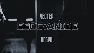 Честнр Небро - Сакура