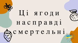 Ці ягоди насправді смертельні. #28