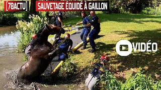 [78INFO] Sauvetage Équidé à Gaillon-Sur-Montcient