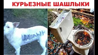 100 КУРЬЕЗНЫХ ПРИКОЛОВ ПРО ШАШЛЫК, КОТОРЫЕ ВЫ ДОЛЖНЫ УВИДЕТЬ!