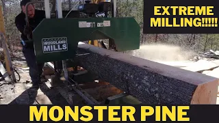 Extreme Woodland mills hm126 pushing it to the limits!!! Monster Pine!