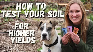 How to Test Your Soil For Higher Crop Yields