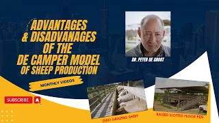 Advantages and Disadvantages of the de CAMPER Model of Sheep Production