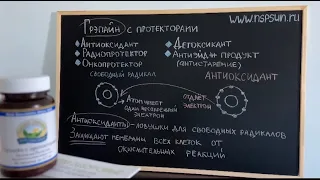 Грэпайн с протекторами НСП - ваша надежная защита от свободных радикалов