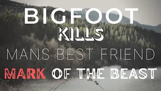 DISTURBING Bigfoot Run in Results in Killed Dog - Mark of the Beast