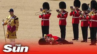 Royal guards collapse in blistering summer heat at rehearsals