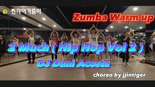 줌바 | 웜업 | Warm Up | 2 Much ( Hip hop Vol 2 ) | DJ Dani Acosta | choreo by jjintiger  #zumba #warmup