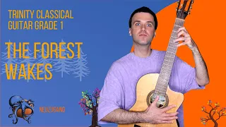 Trinity Guitar Grade 1 (2020-2023) - The Forest Wakes
