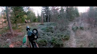 Moose Hunting In finland 2021