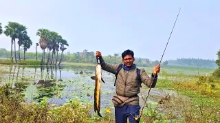 Snakehead & Murrel fish hunting @Delve-into-the-fishingWorld