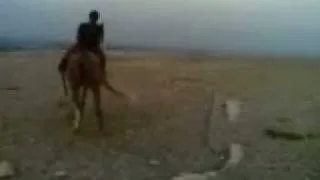 Yuri on a Horse