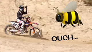 STUNG BY WASP WHILE RIDING! DANGERBOY RIDES GLEN HELEN