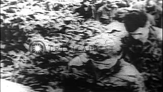 American soldiers being taken as prisoners in Vietnam by Viet Cong HD Stock Footage