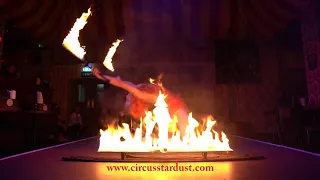 Circus Stardust Agency Presents: Aerial Chains, Aerial Hoop, Laser Fans and Fire (Circus Act 01776)