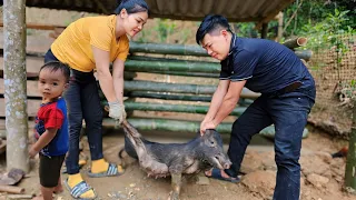 How to make bamboo floors pig pens & complete bamboo pig cages | Hà Tòn Chài