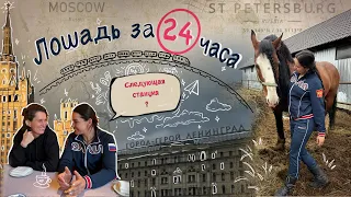 ВЛАДИМИРСКИЙ ТЯЖЕЛОВОЗ ИЛИ КАК КУПИТЬ ЛОШАДЬ ЗА 24 ЧАСА