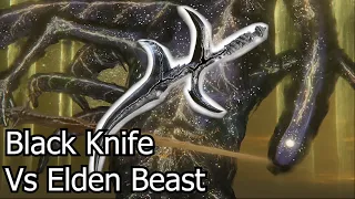 Elden Ring, How Good Is The Black Knife Against Elden Beast?