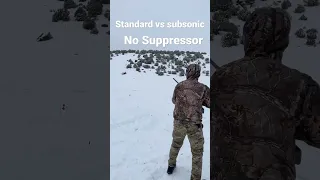 .22 Subsonic ammo is quiet even without silencer